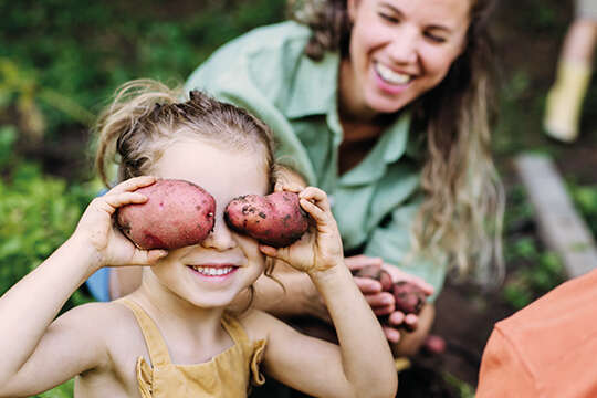 landflair Eigenanbau fuer Einsteiger 540x360